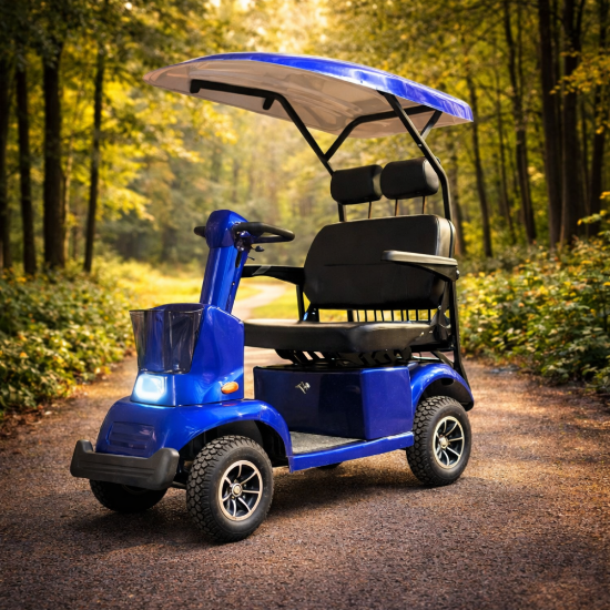 صورة دباب كهربائي رباعي بسقف